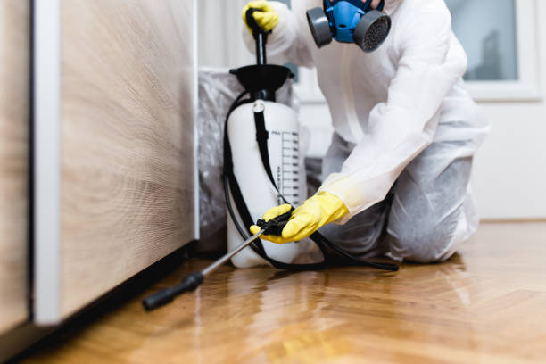 Best Exterminator Services  in Brightwaters, NY