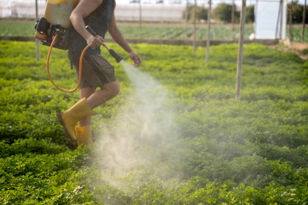 Best Best Pest Control Companies  in Brightwaters, NY