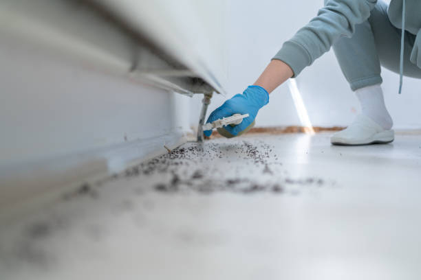 Best Residential Pest Control  in Brightwaters, NY